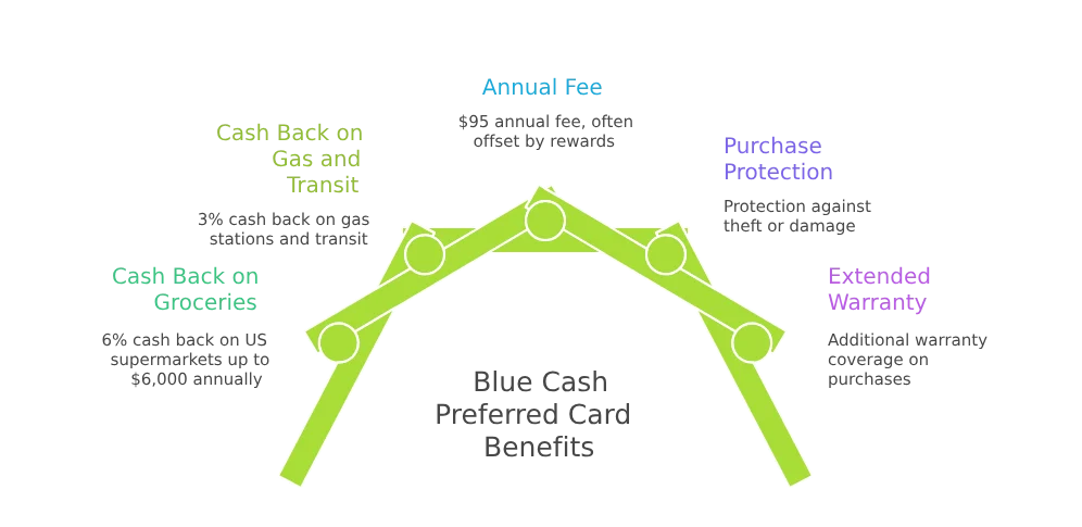 Blue Cash Preferred® Card American Express